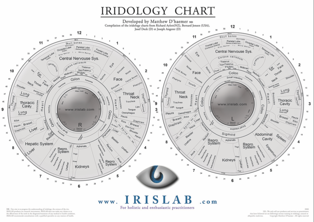 Iridology Chart - IRISLAB