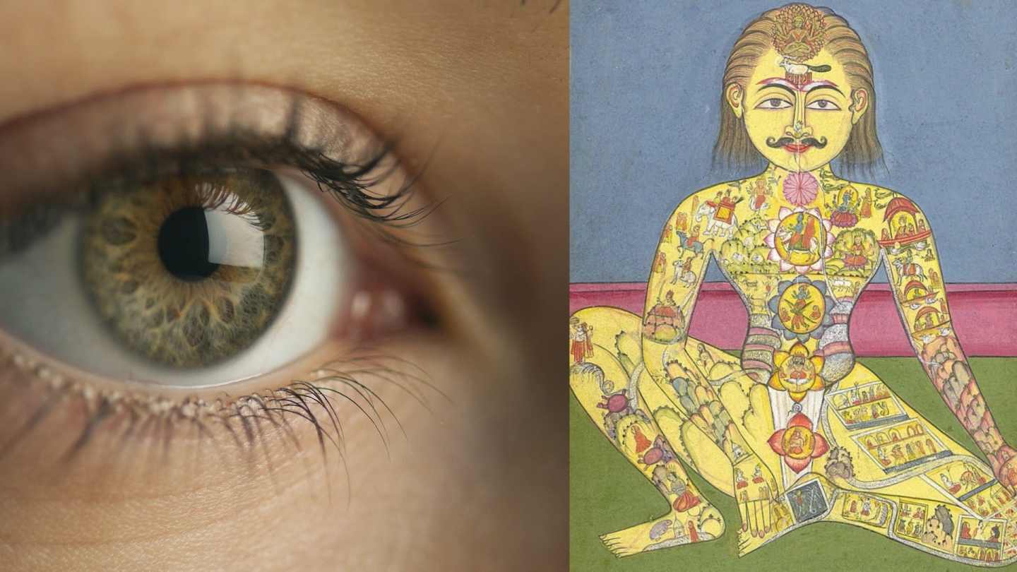 Ayurvedic disease progression and Jensen's iridology integrated chart