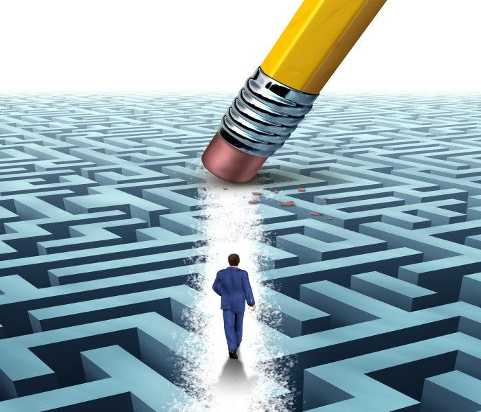 Holistic Approach - Live Training Course - IRISLAB