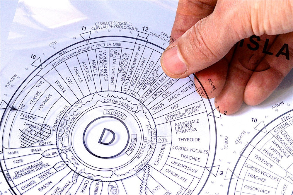 A4 Iridology Chart Transparency - IRISLAB